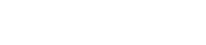 INCARNATE logo